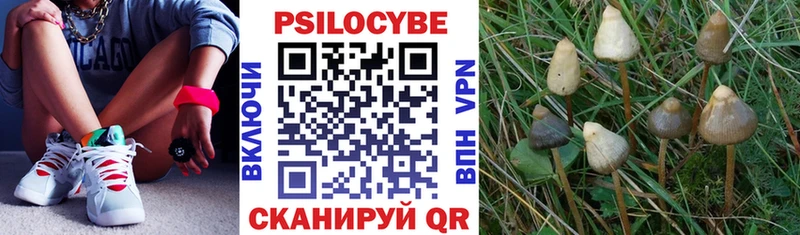 нарко площадка телеграм  хочу наркоту  Миньяр  Псилоцибиновые грибы мухоморы 